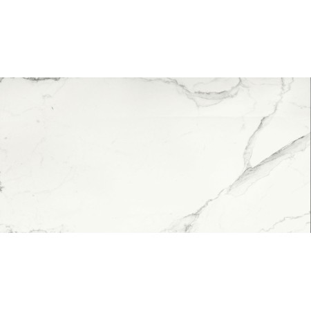 IMPRONTE ITALGRANITI EXPÉRIENCE MARBRE STATUARIO LUX LAPPATO 60X120 SP 9
