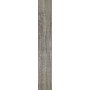 TREVERKHOME FRASSINO 20X120 Rectifié
