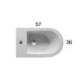 GLOBO FORTY3 BIDET 57.36 FILO PARETE
