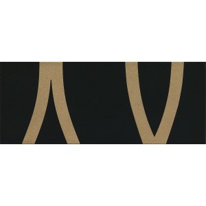 PAUL CERAMICHE GAMME INS. ADN NOIR A+B 20x50