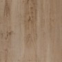 TREVERKHOME20 ROVERE 60X60 Rectifié - 20mm