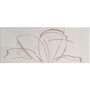 PAUL CERAMICHE GAMME INS. DAISY PERLE A+B 20x50