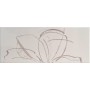 PAUL CERAMICHE GAMME INS. DAISY PERLE A+B 20x50