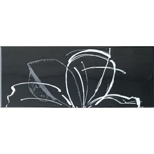 PAUL CERAMICHE GAMME INS. DAISY NOIR A+B 20x50