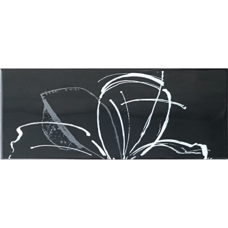 PAUL CERAMICHE GAMME INS. DAISY NOIR A+B 20x50