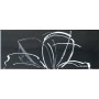 PAUL CERAMICHE GAMME INS. DAISY NOIR A+B 20x50