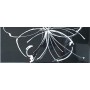 PAUL CERAMICHE GAMME INS. DAISY NOIR A+B 20x50