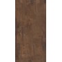 INTERNO 9 RUST 60x120 LAPPATO