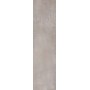INTERNO 9 SILVER 30x120