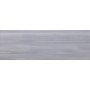 PAUL CERAMICHE STUDIO GRIS 25X75