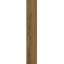 TREVERKLIFE WALNUT 25X150 Rectifié