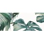 IDEA CERAMICA VERNISSAGE COMPOSITION TROPICALE 25X60