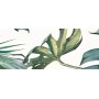 IDEA CERAMICA VERNISSAGE COMPOSITION TROPICALE 25X60