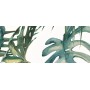IDEA CERAMICA VERNISSAGE COMPOSITION TROPICALE 25X60