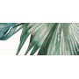 IDEA CERAMICA VERNISSAGE COMPOSITION TROPICALE 25X60