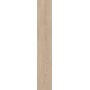 MARINER PLANET OLMO 20X120 RECTIFIÉ