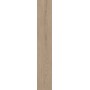 MARINER PLANÈTE ROVERE 20X120 RECTIFIÉ