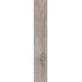 SANT'AGOSTINO CERAMICHE BARKWOOD ASH 20X120 RETT