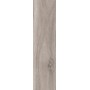 BARKWOOD ASH 30X120 rectifié