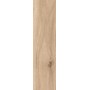 BARKWOOD HONEY 30X120 rectifié