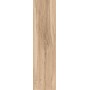 SANT'AGOSTINO CERAMICHE BARKWOOD HONEY 30X120 RETT