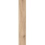 BARKWOOD HONEY 30X180 rectifié