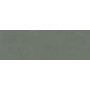 RAGNO CERAMICHE RESINE ARDOISE 40X120 RECTIFIÉ