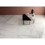 LEA CERAMICHE DELIGHT VENATO BLANC 30X60 RETT NAT (MAT)