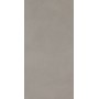BLOCK SILVER 30X60 Rectifié