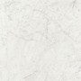 IMPRONTE ITALGRANITI LUX EXPERIENCE STATUARIETTO LAPPATO 60X60 SP 9
