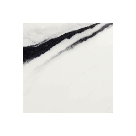 IMPRONTE ITALGRANITI LUX EXPERIENCE PANDA WHITE LAPPATO 60X60 SP 9