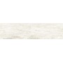 BLENDART WHITE 30X120 rectifié
