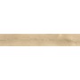IMPRONTE ITALGRANITI ALLURE ROVERE NATUREL 20X120 RETT SP 9