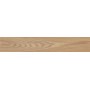 IMPRONTA ITALGRANITI ALLURE OLMO AMBRE' 20X120 RETT SP 9
