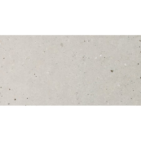 IMPRONTE ITALGRANITI SILVER GRAIN GREY NAT 60X120