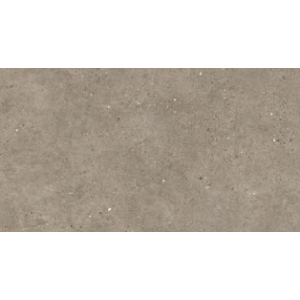 IMPRIMANTE ITALGRANITI SILVER GRAIN TAUPE NAT 60X120