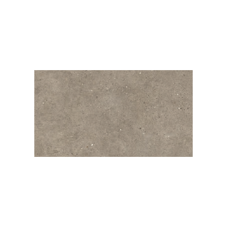 IMPRIMANTE ITALGRANITI SILVER GRAIN TAUPE NAT 60X120