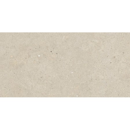 IMPRONTE ITALGRANITI SILVER GRAIN BEIGE NAT 30X60