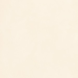 MARAZZI GRANDE_RESIN LOOK BLANC SATINÉ 120X120 RETTIFICATO