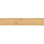 HEARTWOOD MALT 20X120 rectifié