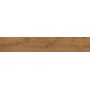 ATLAS CONCORDE BRANDY CŒUR DE BOIS 20X120 RETT