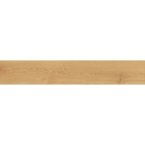 ATLAS CONCORDE EXENCE AMANDE 20X120 RETT