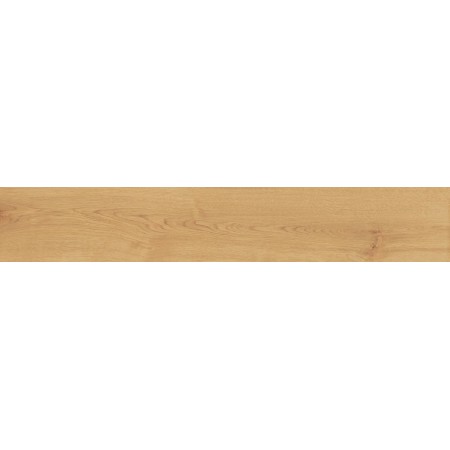 ATLAS CONCORDE EXENCE AMANDE 20X120 RETT