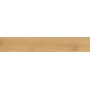ATLAS CONCORDE EXENCE AMANDE 20X120 RETT