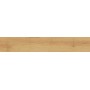 ATLAS CONCORDE EXENCE AMANDE 20X120 RETT