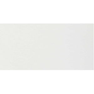 FLORIM - FLOOR GRES B&W BLANC NATUREL 30x60 RÉCTIFIÉ