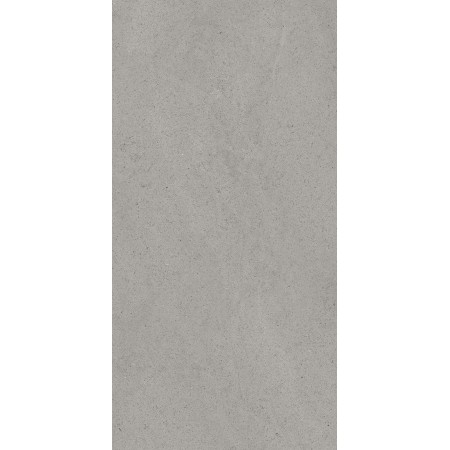 CASAMOOD Sensi Gris Poussière 60x120 Ret Matt Naturel 9mm
