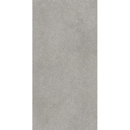 CASAMOOD Sensi Grey Lithos 60x120 Ret Matt Naturel 9mm