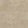 CASAMOOD Sensi Taupe Fossile 80x80 Rectifié Mat Naturel 9mm