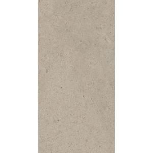CASAMOOD Sensi Ivoire Poussière 40x80 Rectifié Mat Naturel 9mm